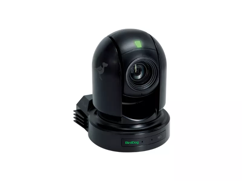 Birddog P200 Hire